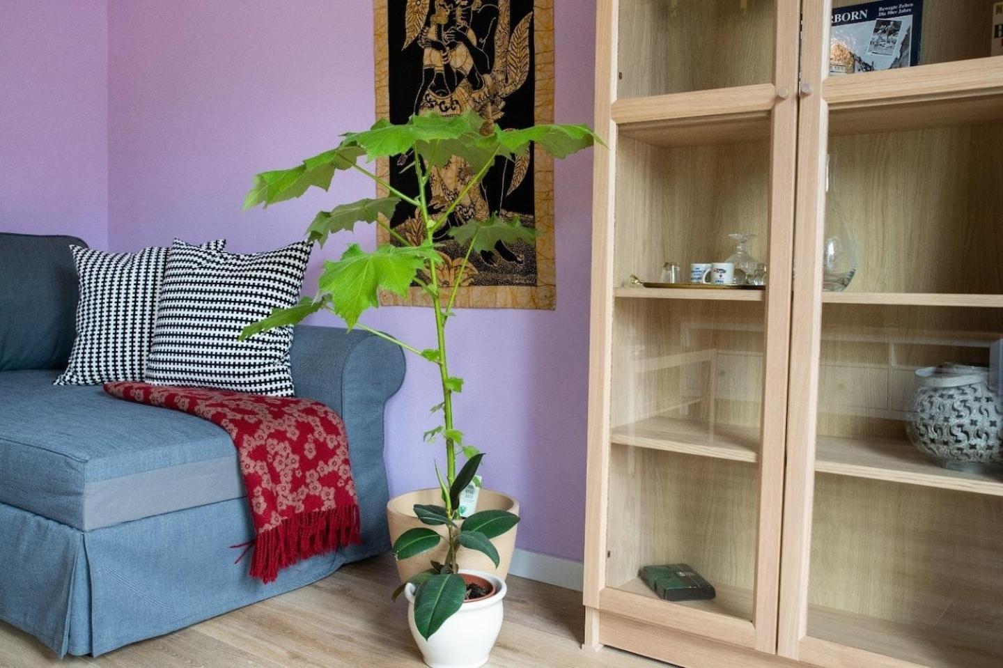 Farbenfrohe Ferienwohnung Detmold Ngoại thất bức ảnh